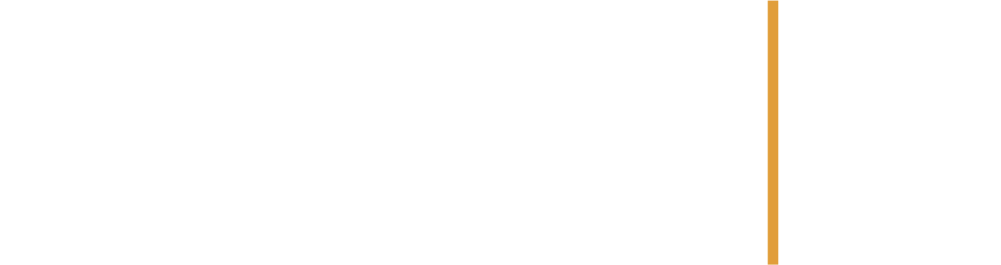 WAYS Logo